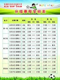 齐尔克泽希望留在曼联但可能转会意甲球队